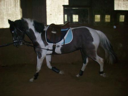 black en longe