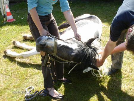 castration de black